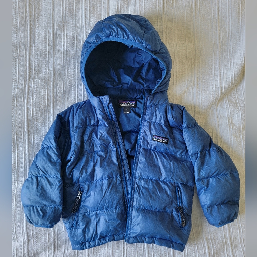 Patagonia Blue Puffer Jacket with Hood and Water-Resistant Finish